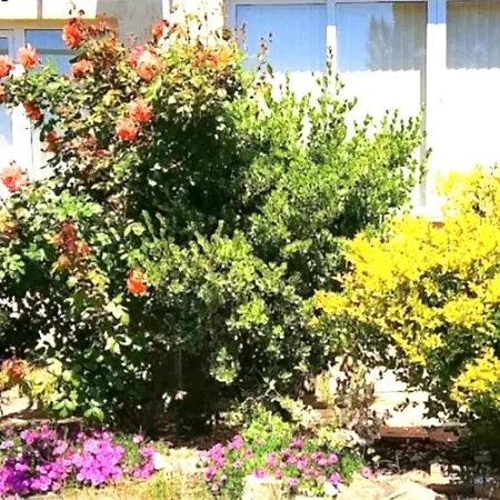 Holiday home Harmony
